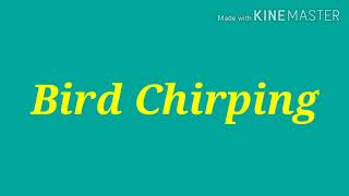 Bird Chirping sound effects no copyright [upl. by Mazman]