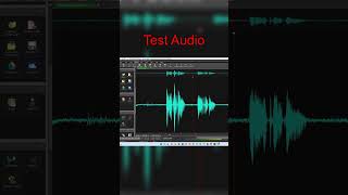 How To Remove Background Noise  Wavepad Tutorial [upl. by Weisbart]