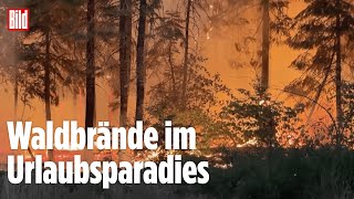 KALIFORNIEN Verheerende Waldbrände – 4000 Feuerwehrleute im Einsatz [upl. by Kelda]