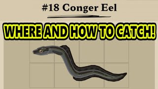 Dredge Conger Eel  How To Catch Congor Eel In Dredge [upl. by Nahttam]