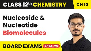 Nucleoside amp Nucleotide  Biomolecules  Class 12 Chemistry Chapter 10  CBSE 202425 [upl. by Utham883]