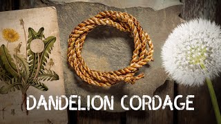 Dandelion Cordage  Cordage from foraged fibres  Ep 3 [upl. by Keffer106]