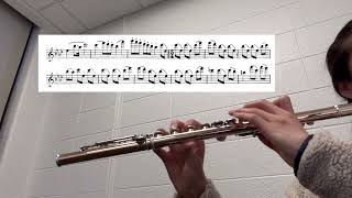 111824 practice log Demersseman flute etude no 9 [upl. by Toor]