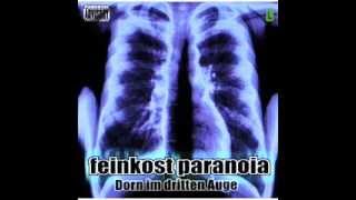 Feinkost Paranoia  Bi Fi Freak [upl. by Etnud]