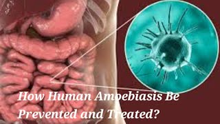 How can Human Amoebiasis be Prevented and Treated [upl. by Renrut677]