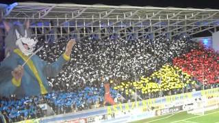 Petrolul Dinamo coregrafie [upl. by Aerdnaeel841]