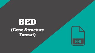 Bioinformatics BED  What is a BED file  File Format  BioCode Ltd [upl. by Ativel]