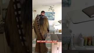 What Is Chewbacca’s Costume Made Of The Surprising Truth 🌌🧔‍♂️ [upl. by Chelsae983]