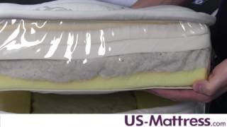 Aireloom Sierra Preferred Brilliant Gold Micro Luxetop Plush Mattress Expert Review [upl. by Ednargel]