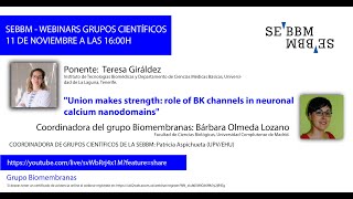 Webinar Grupos científicos de la SEBBM “Grupo Biomembranasquot [upl. by Mcleroy]