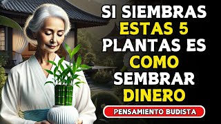 ¡Quieres DINERO SIEMBRA estas 5 PLANTAS en tu CASA  Enseñanzas Budistas [upl. by Atteuqcaj]