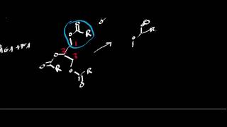 Biochemistry  Lipases [upl. by Leiso85]