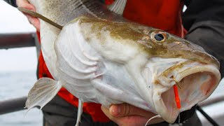 Rhode Island Cod Fishing  S10 E5 [upl. by Blessington]