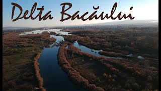 Amintiri din Delta Bacăului [upl. by Beichner]