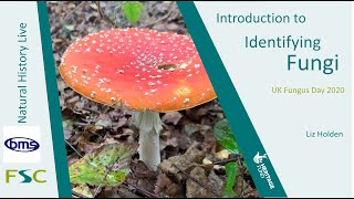 Introduction to Identifying Fungi [upl. by Adnovaj]