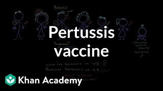 Pertussis vaccine  Respiratory system diseases  NCLEXRN  Khan Academy [upl. by Sucramel]