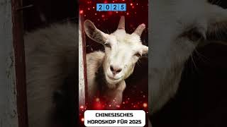 Ziege Chinese Horoscope 2025 [upl. by Aleiram]