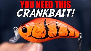 Why is EVERYONE Talking About This NEW Crankbait [upl. by Allesor966]