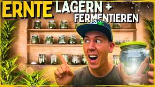 Die Ernte ist da 😱 Lagern und richtig Fermentieren für Anfänger [upl. by Eelyam844]