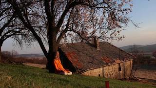 István Sky  Heart Healing Voice from Lake Balaton istvansky meditation [upl. by Nisa750]