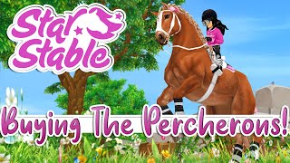 Star Stable BUYING The Brand NEW PERCHERONS 😱😍 Weekly Update [upl. by Nani]