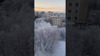 Мурманск ул Книповича силамысли beautiful snow russia murmansk цытатысосмыслом sammer [upl. by Amled]