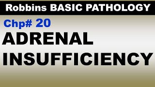 Ch20  ADRENAL Insufficiency  Endocrine Pathology  Dr Asif Lectures [upl. by Attenyt]