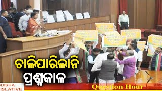 Odisha Assembly Winter session day 2 Question Hour canceled  KalingaTV [upl. by Fritzsche]