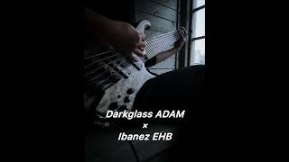 Darkglass × Ibanez EHB  metalcore bass [upl. by Eelarol]