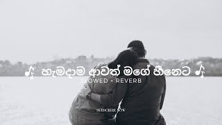 මනෝපාරකට  හැමදාම ආවත් මගේ හීනෙට SLOWEDREVERB  Rukman Asitha foryou sad boot reverb [upl. by Alejandra]