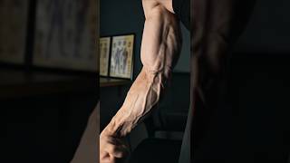 Big and wider forearms at home in 7day forearms forearmworkout aesthetic armworkout shortsvideo [upl. by Tsui]