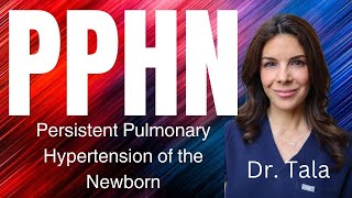 Doctor Explains Persistent Pulmonary Hypertension of the Neonate [upl. by Nerdna946]