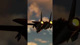 F14 fly by [upl. by Relyk]