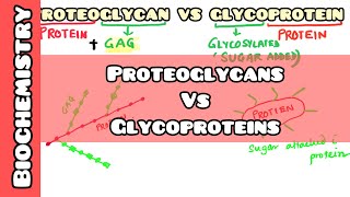 Proteoglycan VS Glycoproteins easy explanation for USMLE NEET PG INICET NCLEX [upl. by Mori]