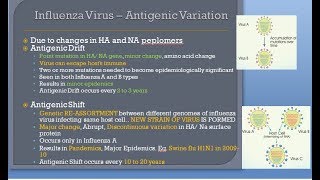 Influenza Get the Antigenic Drift [upl. by Kiri430]