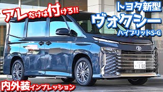 【オプション注意】トヨタ新型ヴォクシー内外装紹介！アレだけは迷わず付けるべし！【TOYOTA NEW VOXY HYBRID SG】 [upl. by Assetnoc]