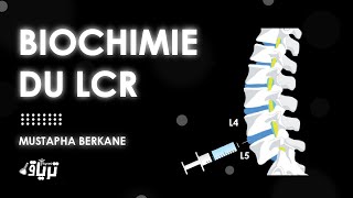 Biochimie  La biochimie du LCR par Mustapha Berkane [upl. by Nodnerb594]