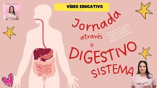 VÍDEO EDUCATIVO SOBRE O SISTEMA DIGESTIVO COMO FUNCIONA O PROCESSO DE DIGESTÃO [upl. by Retsevel330]