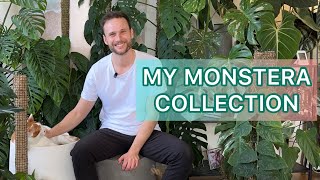 My full Monstera collection  adansonii dubia thai constellation albo etc [upl. by Htidirrem]