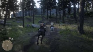 Red Dead Redemption 2 Second Race Female Raven Black Shire Horse Vs Nokota On PS5 [upl. by Holly]