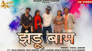 झंडू बाम  Jhandu Bam  Raju Dancer Tanu amp Manju Dancer  Vishal Jamune  Adivasi New Song 2024 [upl. by Erehs]