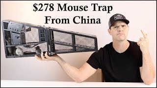 278 Mouse Trap From China Is the ZCF Mouse Trap Worth It Mousetrap Monday [upl. by Asnarepse]