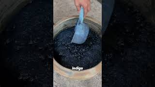 How Indigo Dye Was Made Before Synthetic Colors [upl. by Morven]