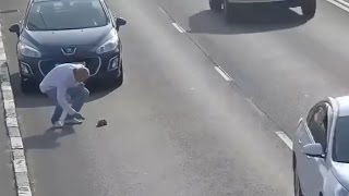 Sur une autoroute un chaton sauvé par un conducteur [upl. by Syla281]