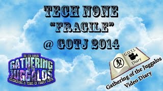 Tech N9ne  Fragile  Live  GOTJ 2014 [upl. by Ardnama]