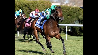 Integration Wins the Grade 2 Hill Prince at Aqueduct by 5 Lengths [upl. by Syl494]