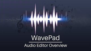 WavePad Audio Editor Tutorial  Overview [upl. by Ecirtael]