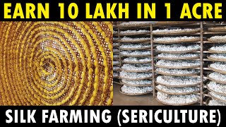 Silk Farming Sericulture  How Silk is made from Silkworm [upl. by Aneras]