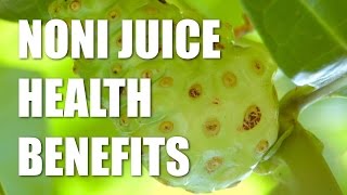 Noni juice health benefits  morinda citrifolia  Noni juice by NHT Global [upl. by Sumner544]