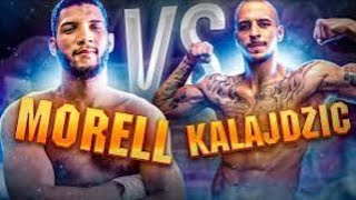 DAVID MORRELL vs RADIVOJE KALAJDZIC WBA LIGHT HEAVYWEIGHT REGULAR TITLETACTICS PREDICTION [upl. by Llednik181]